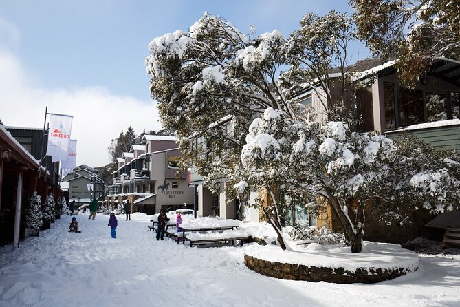 1 Day Thredbo Snow Tour From Sydney - Tips for Making the Most