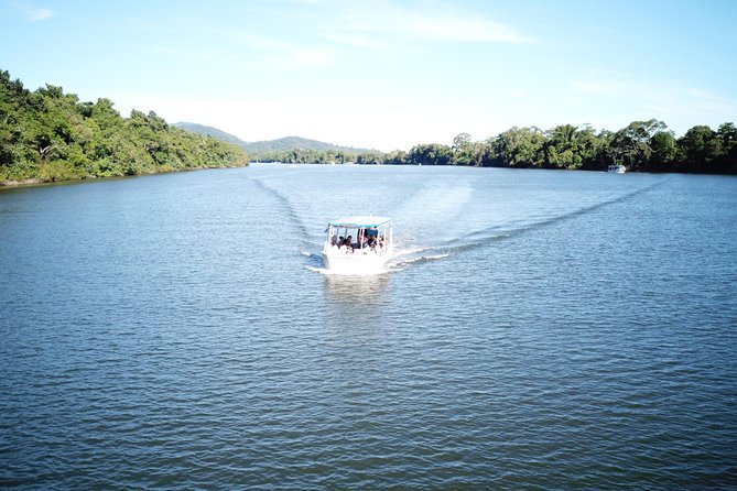 1-Hour Daintree River Wildlife Cruise - Whats Included in the Tour