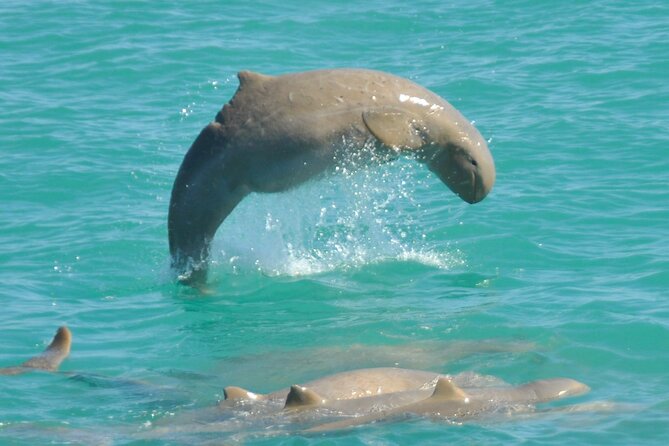 3.5 Hour Broome Sunset Cruise - Cancellation and Refund Policy