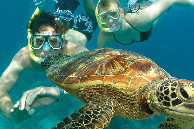 8-Day Cairns Tour: Great Barrier Reef, Kuranda, Daintree Rainforest - Rainforest Waterfall and Flight