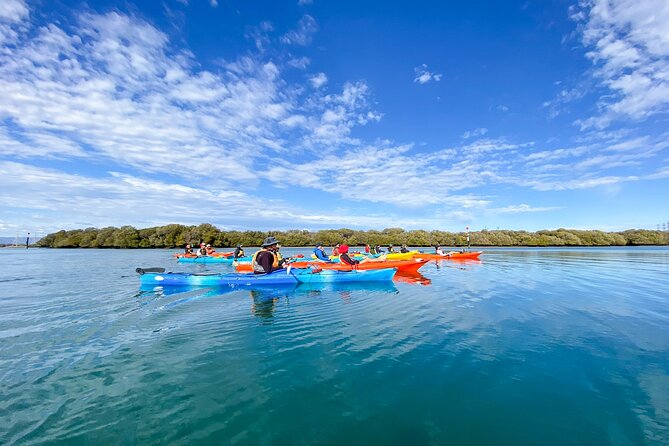 Adelaide Dolphin Sanctuary Mangroves Kayaking Tour - Cancellation and Refund Policy