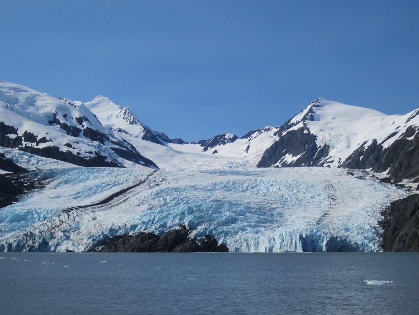 Anchorage: Glacier and Wildlife Explorer Cruise - Final Words