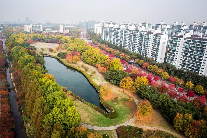 Best View Seoul Autumn Foliage Tour - Booking and Cancellation