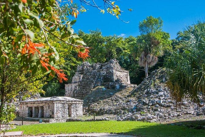 Birdwatching in Sian Kaan and Muyil Archaeological Site From Tulum - Ending Notes