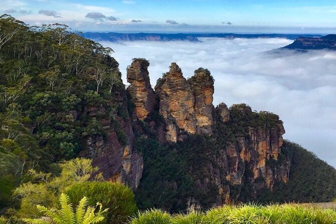 Blue Mountains Private Hiking Tour From Sydney - Reviews and Testimonials