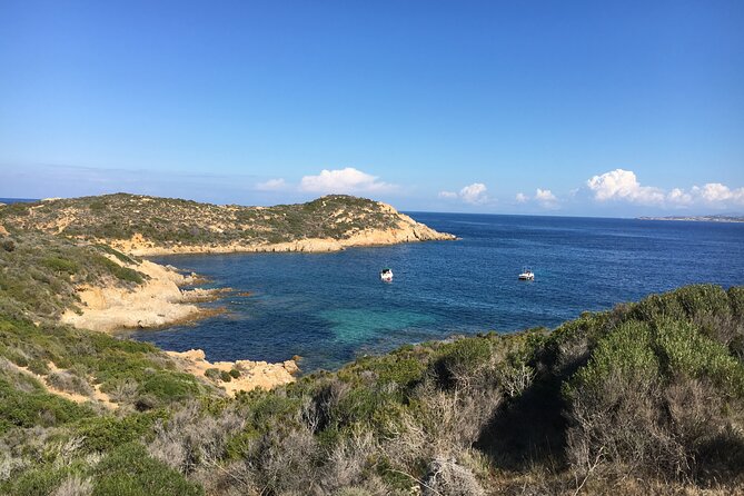 Boat Trip and Snorkeling in the Gulf of Calvi - Snorkeling Equipment Needed