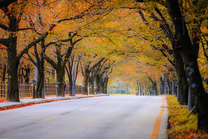 Breathtaking Autumn at Seoraksan National Park - Taking in the Scenic Views