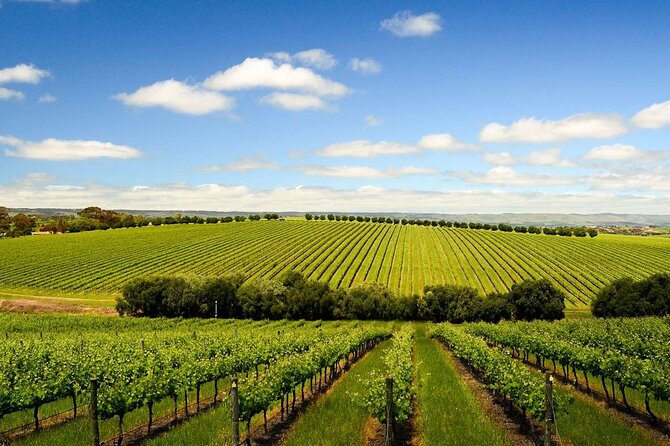 Build Your Own Unique Private Winery/Brewery Tour at the Margaret River Region - Real Customer Experiences Matter