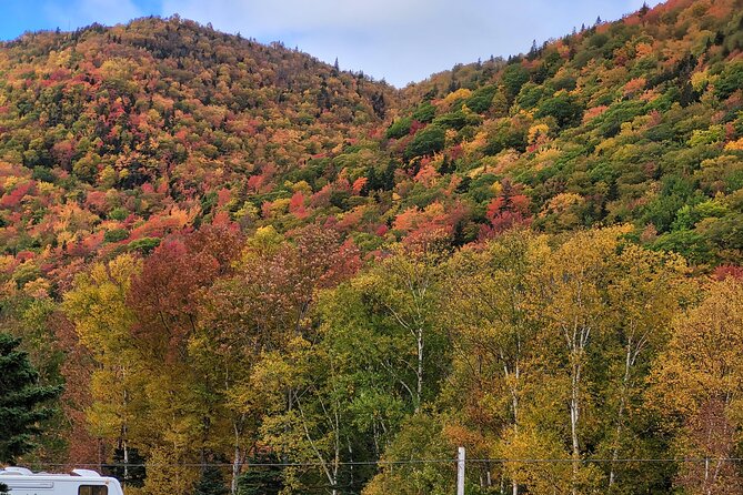 Cabot Trail Private Full Day Tour - Host Responses to Traveler Feedback