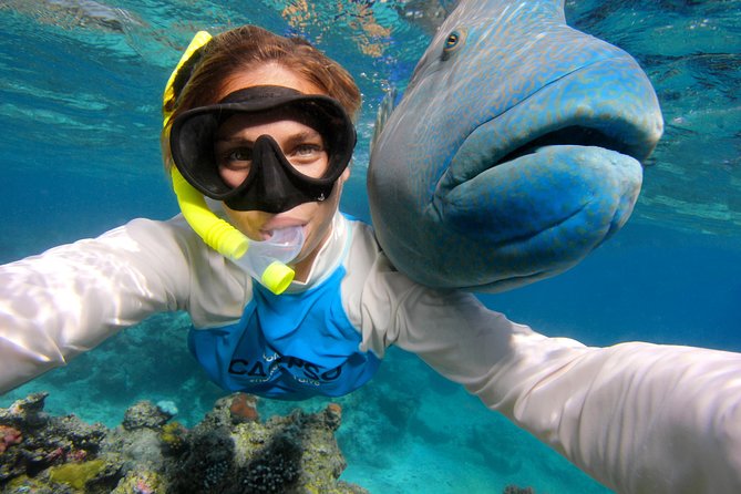 Calypso Outer Great Barrier Reef Cruise From Port Douglas - Important Tour Details