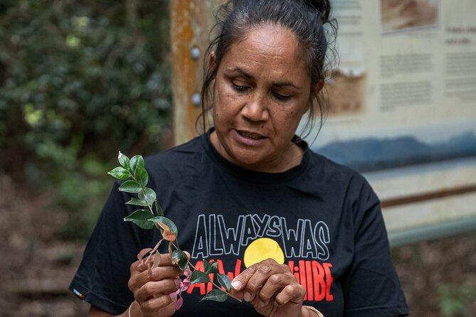 Cape Byron Aboriginal Tour - Whats Included and Accessibility