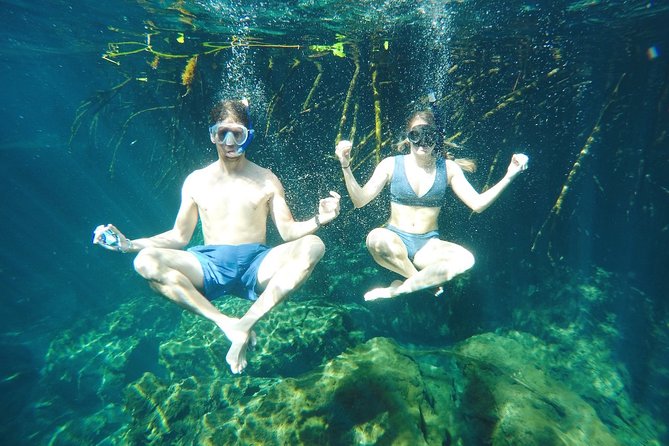 Cenote Paddleboarding and Snorkeling in Tulum - Tour Pricing and Availability