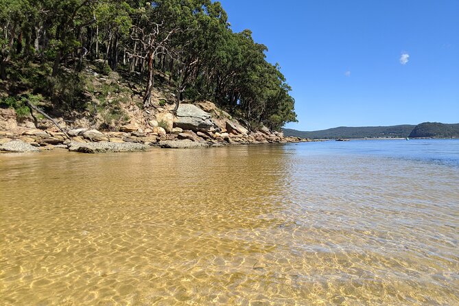 CENTRAL COAST PRIVATE TOUR Waterfalls, Beach Lookouts, Aboriginal Rock Art - What to Expect on Tour