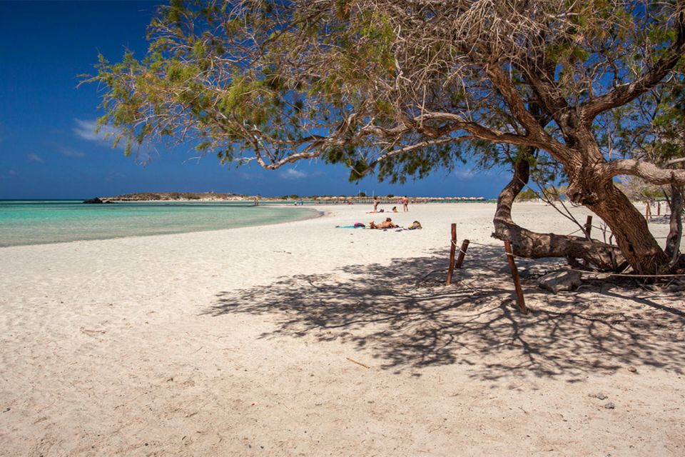 Chania: Elafonisi and Milia Mountain With Loungers and Lunch - Customer Reviews