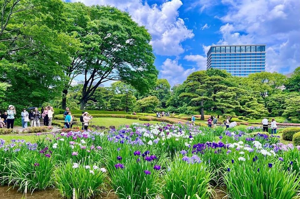 Chiyoda Imperial Palace Walking Tour - Visitor Reviews