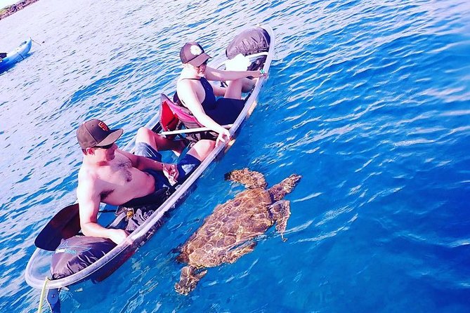 Clear Kayak and Snorkel Tour at Turtle Town, Makena - Cancellation Policy