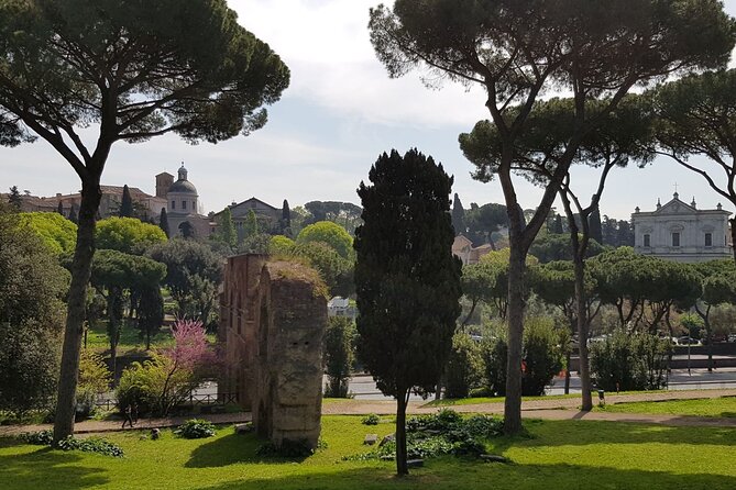 Colosseum, Roman Forum, and Palatine Hill Small-Group Tour  - Rome - Meeting Time and Security Checks