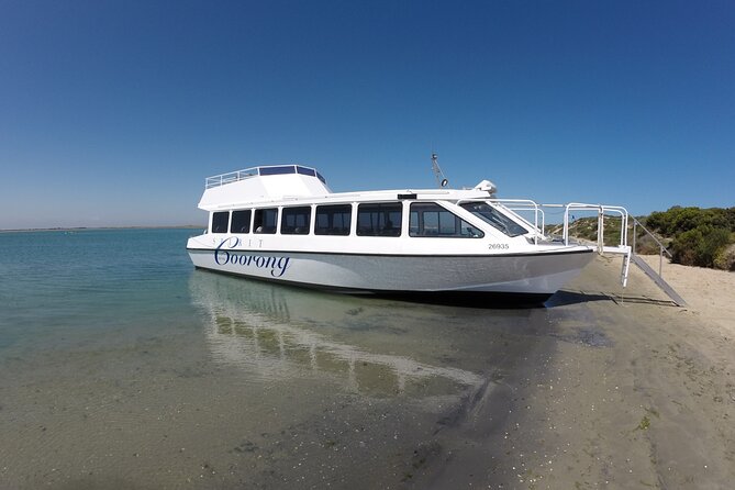 Coorong 6-Hour Adventure Cruise - Getting to the Meeting Point