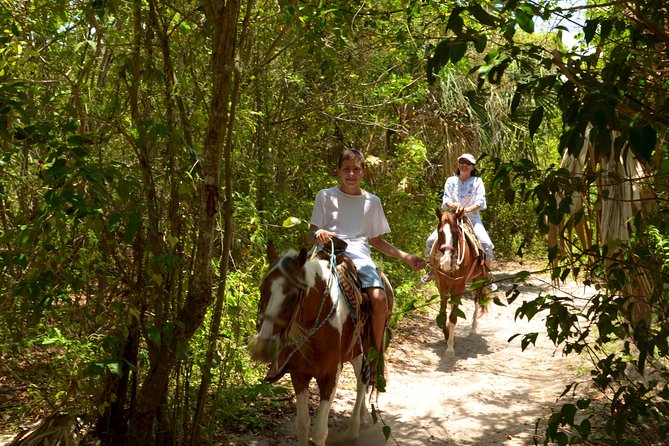 Cozumel Beach Horseback Riding Tour - Customer Experiences