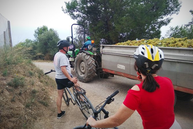 Cycling for Vino Bike Ride From Sitges, Barcelona With Hotel Pick Up. - Cancellation Policy