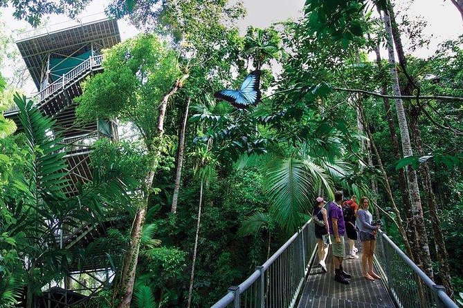 Daintree Discovery Centre Family Pass Ticket - Price and Discounts Available