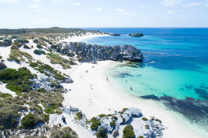 Discover Rottnest With Ferry & Bus Tour - Essential Tour Information Details