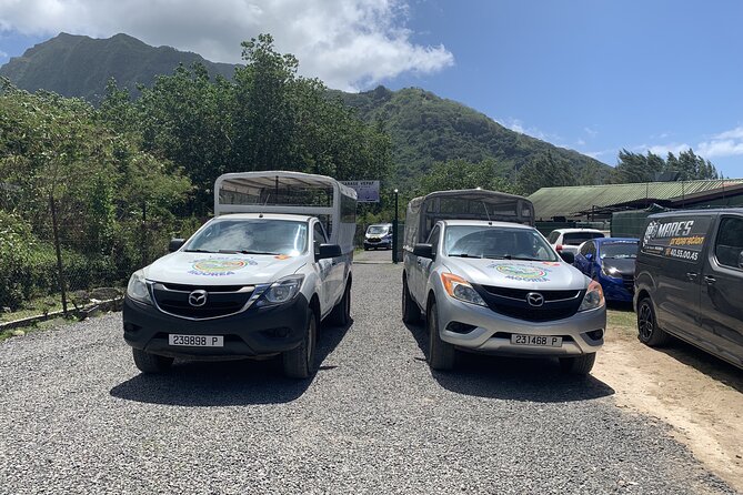 Discovering Moorea From Tahiti in 4x4 With the Ferry Terevau - Tasting Local Delicacies and Beverages