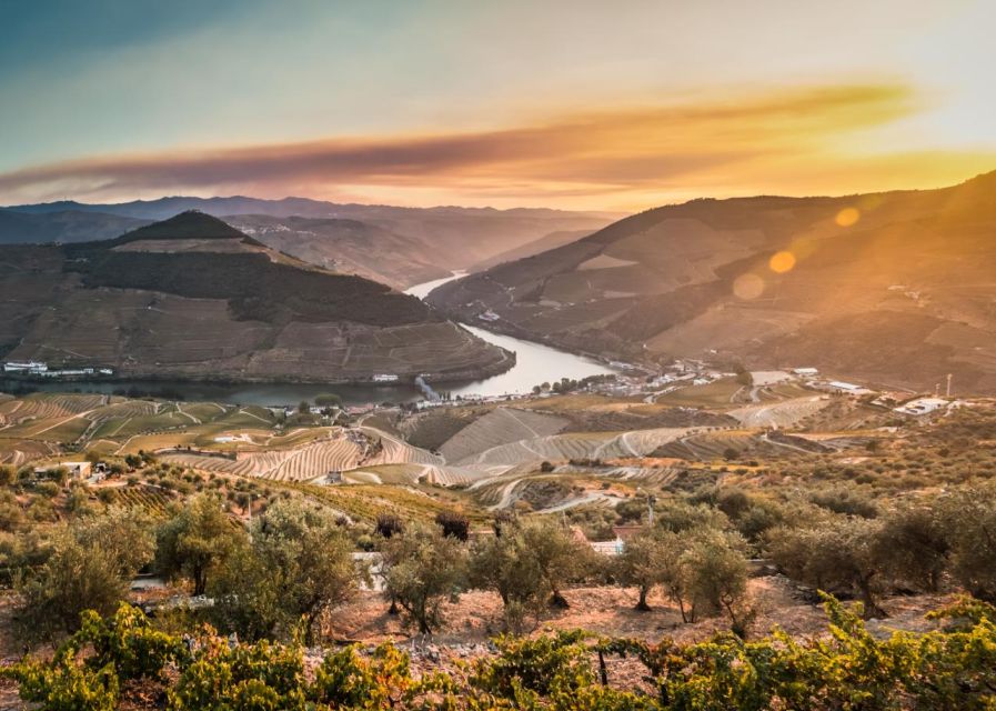 Douro Valley: 1 Day Landscape Photo Tour - Photo Opportunities