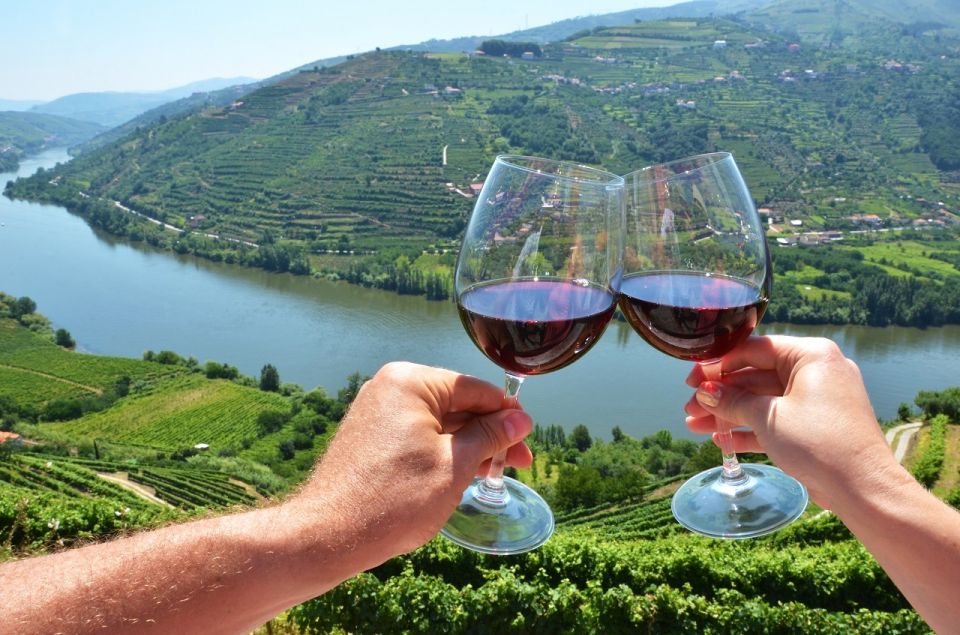 Douro Valley: Full-Day Private Wine Tour With Lunch - Customer Reviews