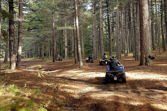 Etna Quad Tour - Half Day - Reviews and Ratings Overview