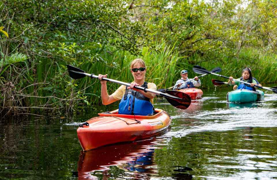 Everglades City: Guided Kayaking Tour of the Wetlands - Common questions