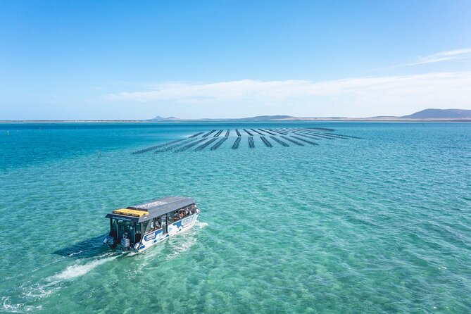 Experience Coffin Bay Oyster Farm and Bay Tour - Exploring Coffin Bay by Boat