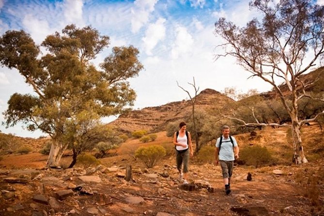 Flinders Ranges 3-Day Small Group 4WD Eco Tour From Adelaide - Tour Highlights and Itinerary