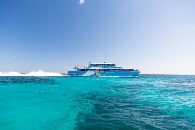 Fremantle to Rottnest Island Roundtrip Ferry Ticket - Accessibility and Restrictions