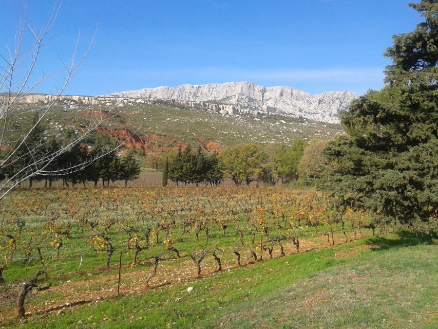 From Aix-En-Provence: Luberon & Vineyards Tour With Tastings - Customer Reviews