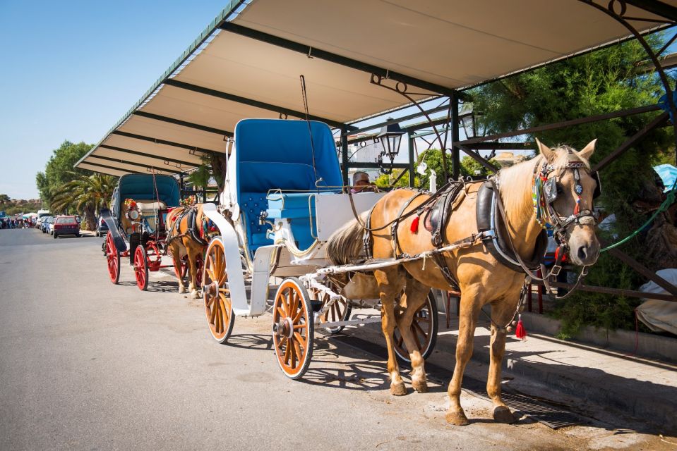 From Athens: Hydra, Poros, and Aegina Day Cruise With Lunch - Customer Reviews