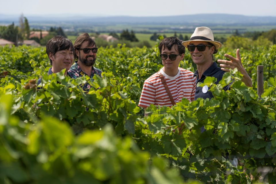 From Avignon : Avignon & Châteauneuf Du Pape Wine Tour - Booking Information