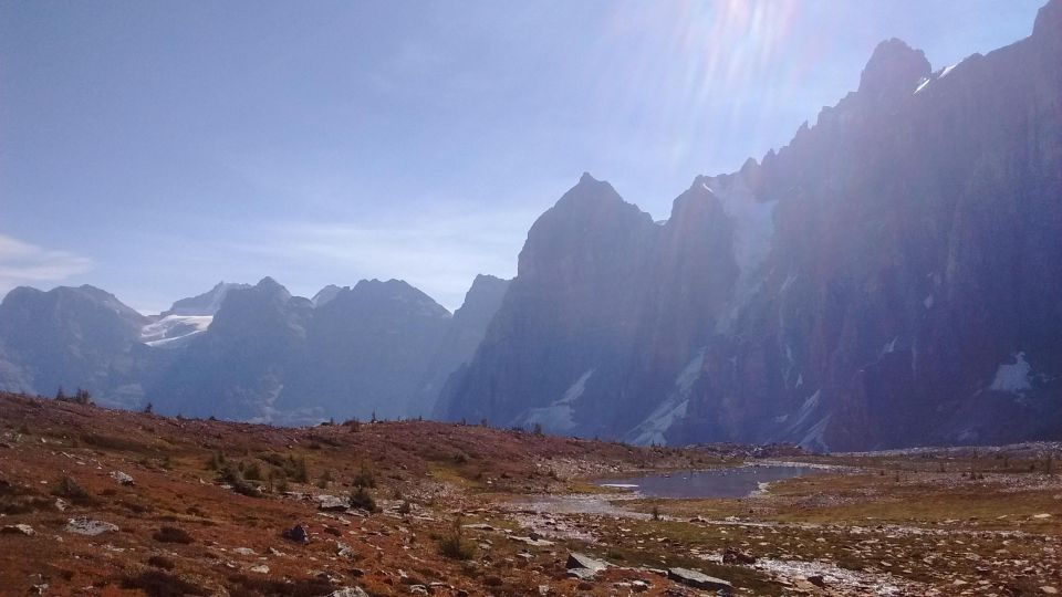 From Banff: Canadian Rocky Mountains Lake Tour - Winter Tour Highlights