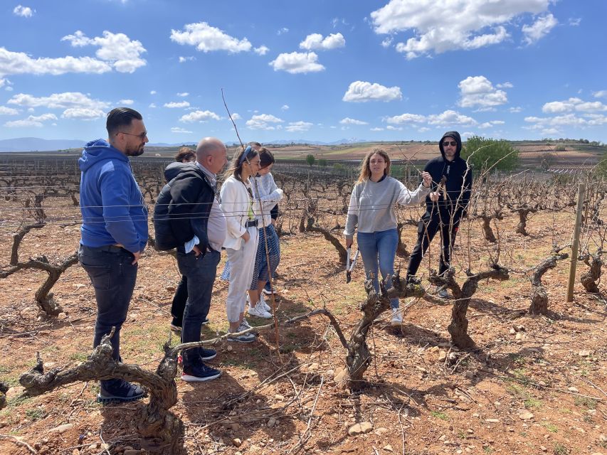 From Bilbao: Two Rioja Wineries Day Trip With Picnic Lunch - Important Information