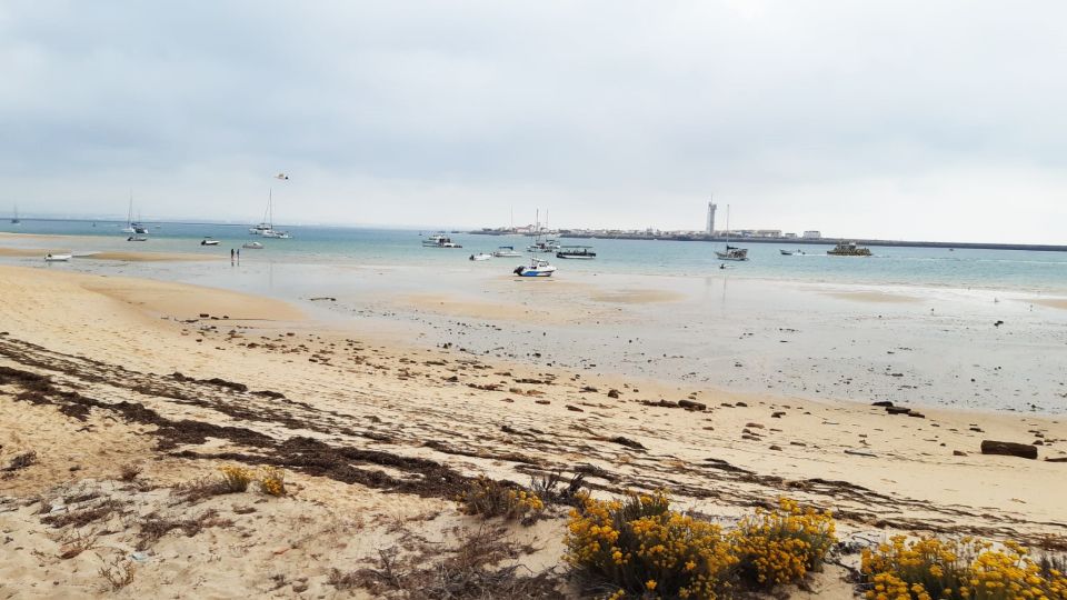 From Faro: Island Tour by Boat - Booking Information and Itinerary