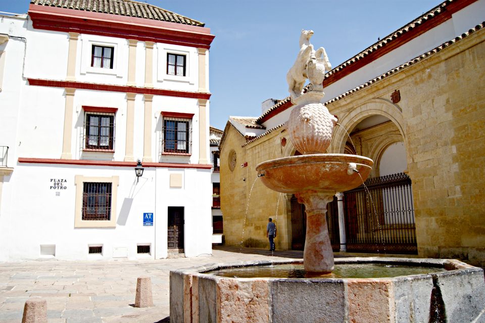 From Granada: Cordoba and Mezquita Full Day Tour - Important Information