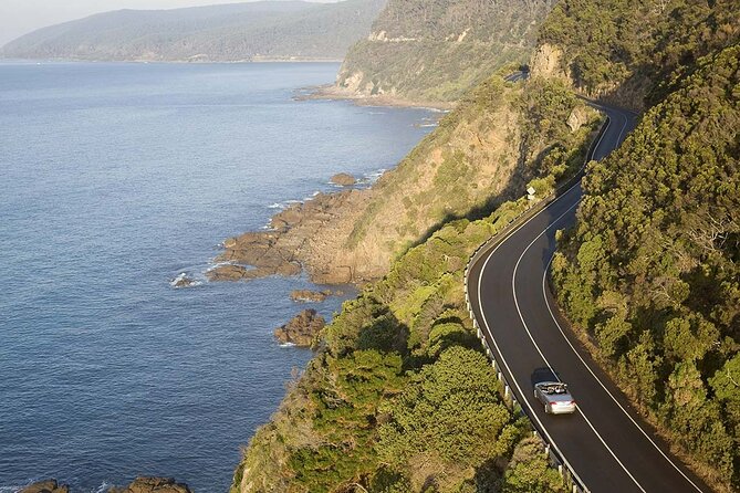 From Melbourne：Great Ocean Road 1-Day Tour in Chinese - Tour Itinerary and Schedule