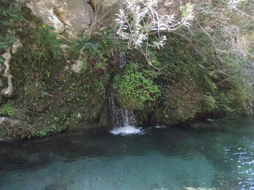 From Plakias: Kourtaliotiko Gorge Guided River Trekking - Important Information