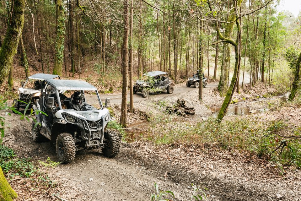 From Porto: Off-Road Buggy Adventure - Customer Reviews