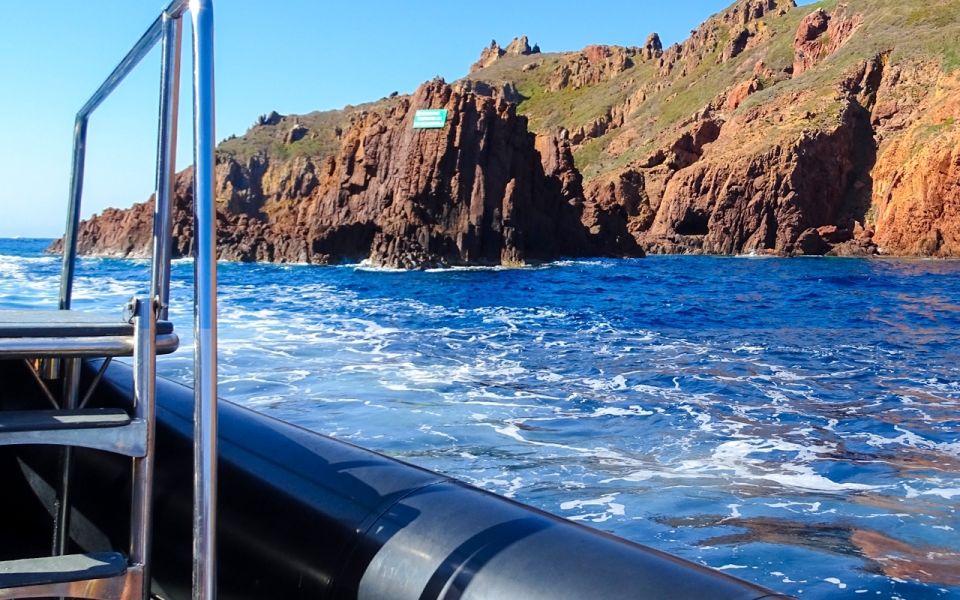 From Porto: Piana Creeks and Scandola Semi-Rigid Boat Tour - Customer Reviews