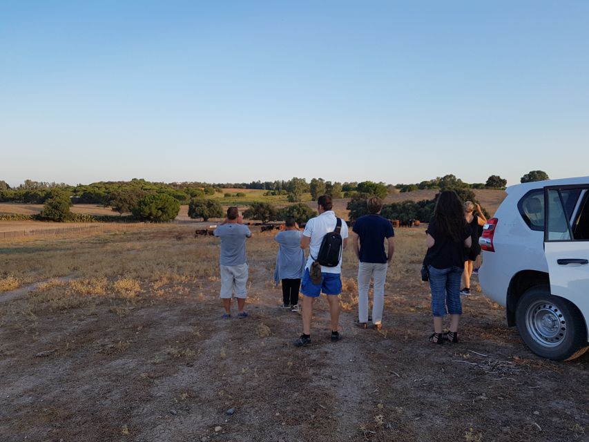 From Seville: Half-Day Bull Breeding Farm Tour - Highlights