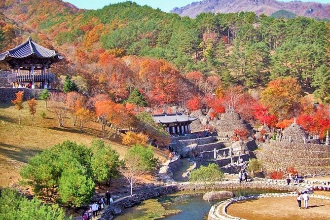 Full-Day Suncheon Bay Garden and Samseonggung Palace With Lunch - Pricing and Group Discounts