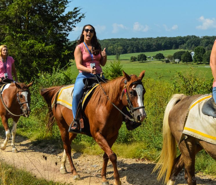 Gettysburg: Licensed Guided Battlefield Horseback Tour - Customer Reviews