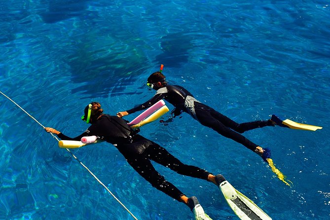 Great Barrier Reef Cruise From Townsville or Magnetic Island - Meeting and Pickup Details