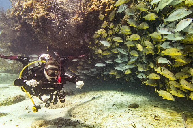 Half-Day Scuba Diving in Playa Del Carmen for Small-Group - Common questions